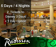 Disney World Vacation Packages